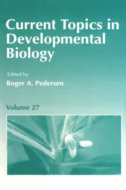 Current Topics in Developmental Biology, E-bok
