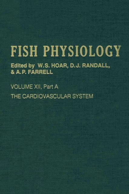 Cardiovascular System