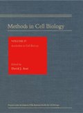 Antibodies in Cell Biology