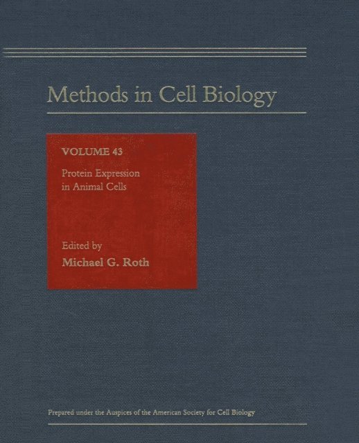 Protein Expression in Animal Cells