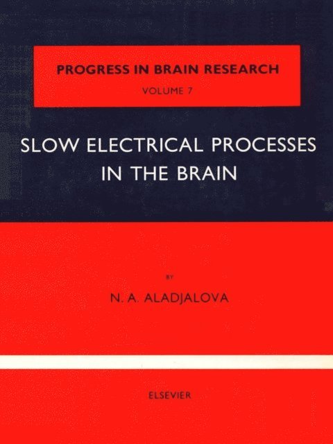 Slow Electrical Processes in the Brain