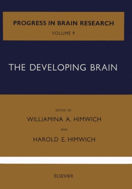 Developing Brain