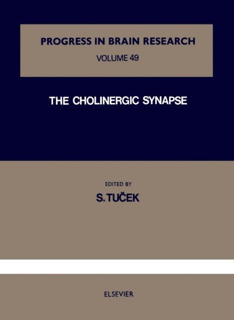 Cholinergic Synapse