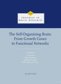 Self-Organizing Brain: From Growth Cones to Functional Networks