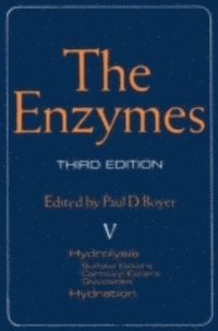 Enzymes, E-bok