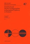 Analytical and Numerical Approaches to Asymptotic Problems in Analysis