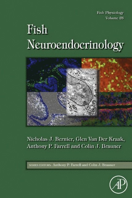Colin Brauner, Anthony P. Farrell, Glen Van Der Kraak, Nicholas J. Bernier - Fish Physiology: Fish Neuroendocrinology, E-bok