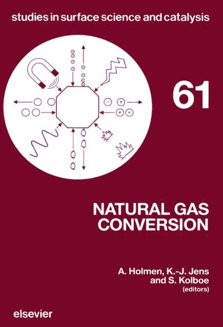 S. Kolboe, K.-J. Jens, A. Holmen - Natural Gas Conversion, E-bok