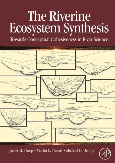 Michael D. Delong, Martin C. Thoms, James H. Thorp - Riverine Ecosystem Synthesis, E-bok