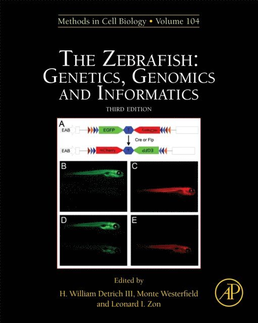 Zebrafish: Genetics, Genomics and Informatics, E-bok
