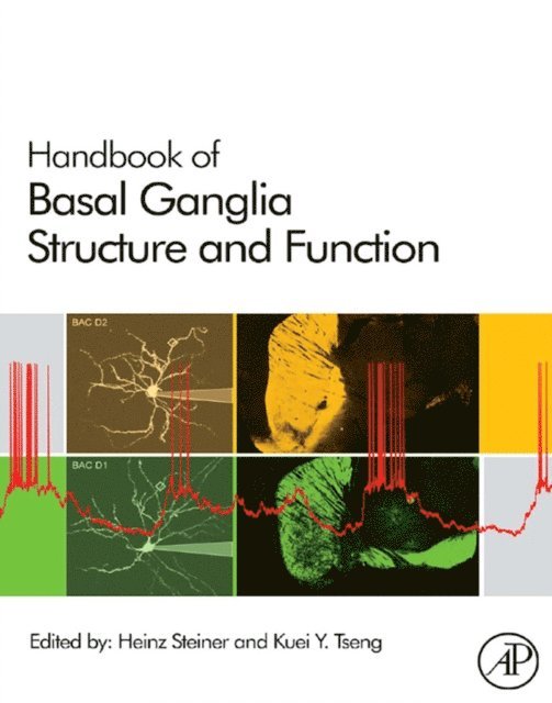 Kuei Y. Tseng, Heinz Steiner - Handbook of Basal Ganglia Structure and Function, E-bok