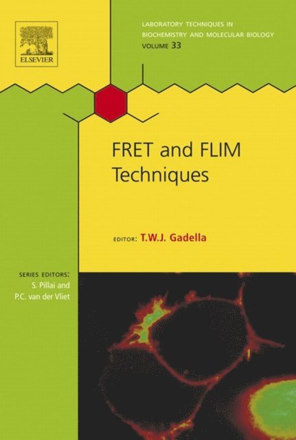 Theodorus W. J. Gadella - FRET and FLIM Techniques, E-bok