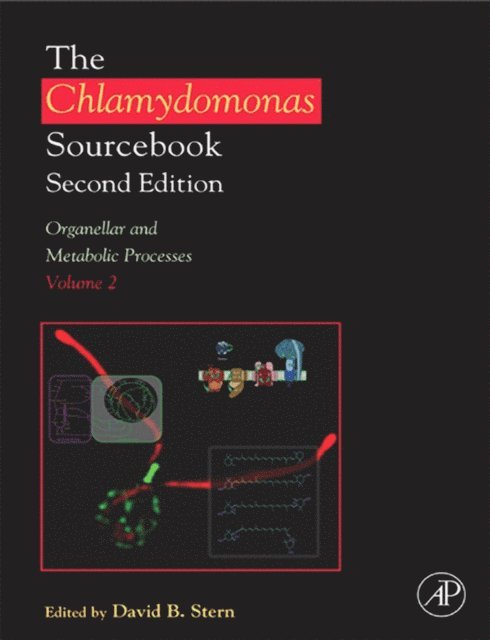 David Stern - Chlamydomonas Sourcebook: Organellar and Metabolic Processes, E-bok