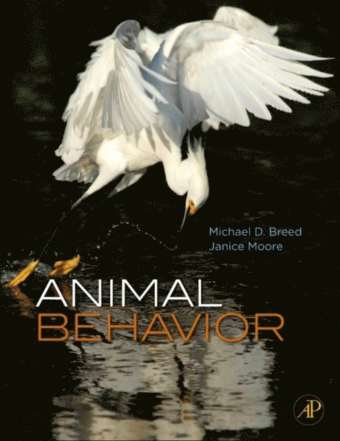 Janice Moore, Michael D. Breed - Animal Behavior, E-bok