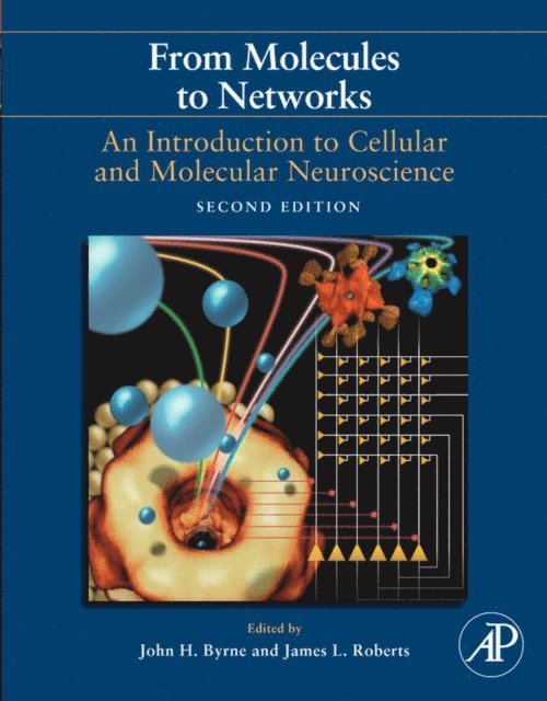 James L. Roberts, John H. Byrne, M. Neal Waxham, Ruth Heidelberger - From Molecules to Networks, E-bok