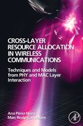 Cross-Layer Resource Allocation in Wireless Communications