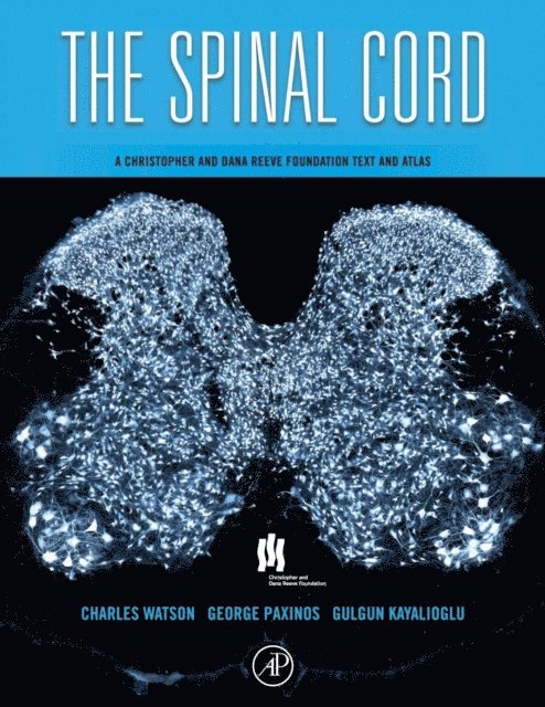 Gulgun Kayalioglu, George Paxinos, Charles Watson - Spinal Cord, E-bok