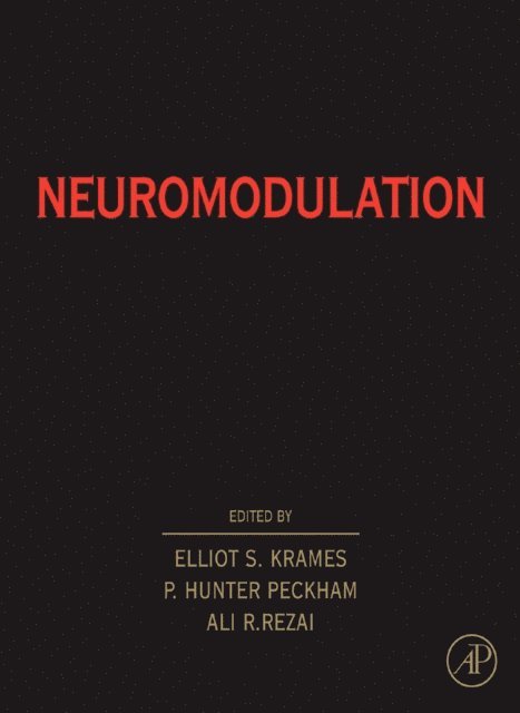 Neuromodulation, E-bok