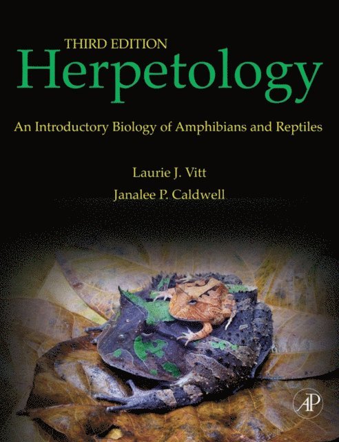 Janalee P. Caldwell, Laurie J. Vitt - Herpetology, E-bok