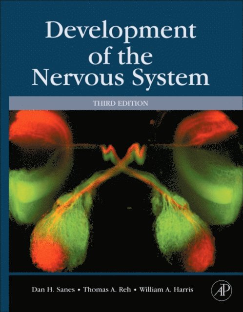 William A. Harris, Thomas A. Reh, Dan H. Sanes - Development of the Nervous System, E-bok