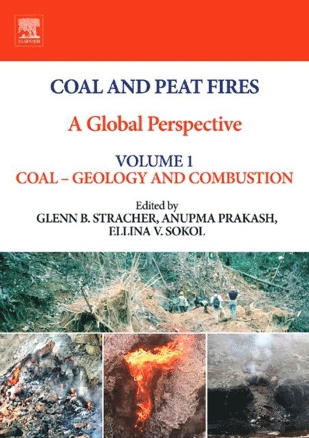 Ellina V. Sokol, Anupma Prakash, Glenn B. Stracher - Coal and Peat Fires: A Global Perspective, E-bok
