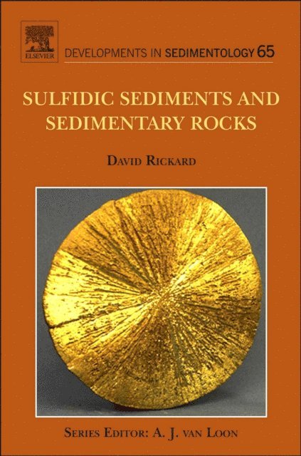 David Rickard - Sulfidic Sediments and Sedimentary Rocks, E-bok