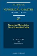 Numerical Methods for Non-Newtonian Fluids