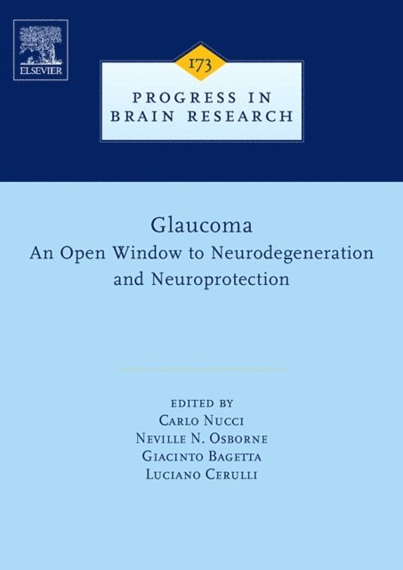 Giacinto Bagetta, Neville N. Osborne, Luciano Cerulli, Carlo Nucci - Glaucoma: An Open-Window to Neurodegeneration and Neuroprotection, E-bok