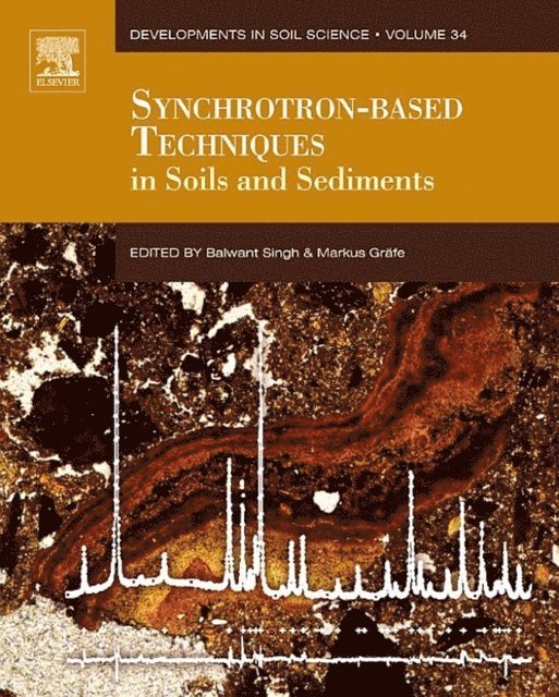 Markus Grafe, Balwant Singh - Synchrotron-Based Techniques in Soils and Sediments, E-bok