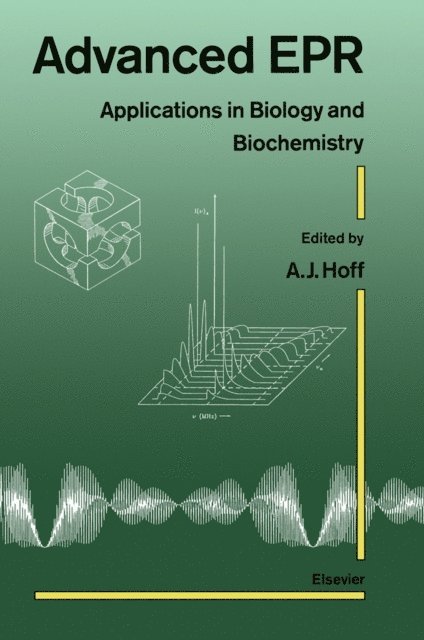 A.J. Hoff - Advanced EPR, E-bok