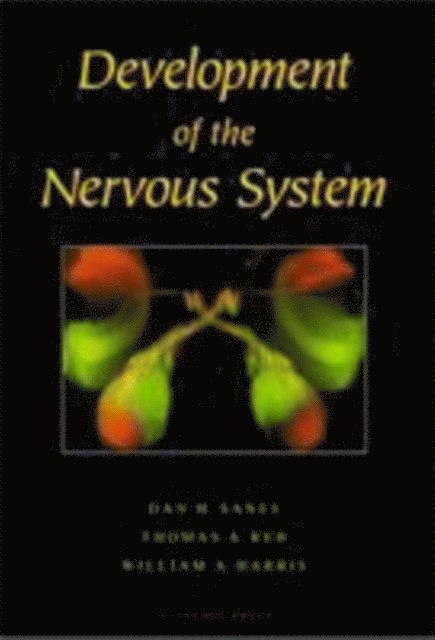 William A. Harris, Thomas A. Reh, Dan H. Sanes - Development of the Nervous System, E-bok