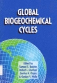 Butcher - Global biogeochemical cycles, E-bok