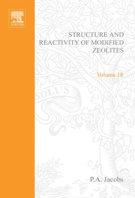 N.I. Jaeger, G. Schulz-Ekloff, P. Jiru, P.A. Jacobs, V.B. Kazansky - Structure and Reactivity of Modified Zeolites, E-bok