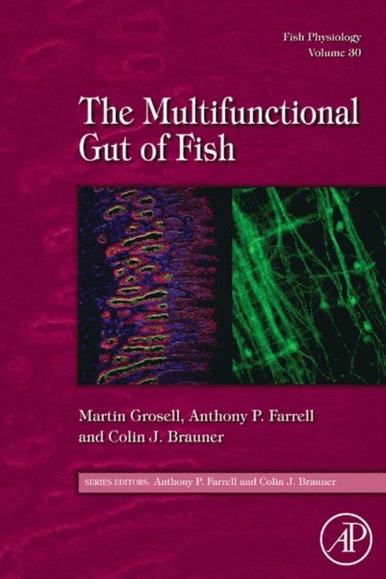 Fish Physiology: The Multifunctional Gut of Fish, E-bok