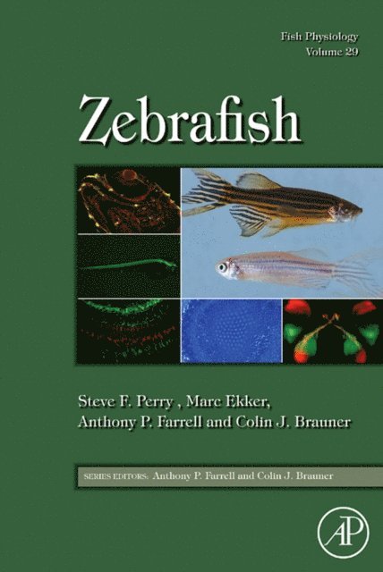 Fish Physiology: Zebrafish, E-bok