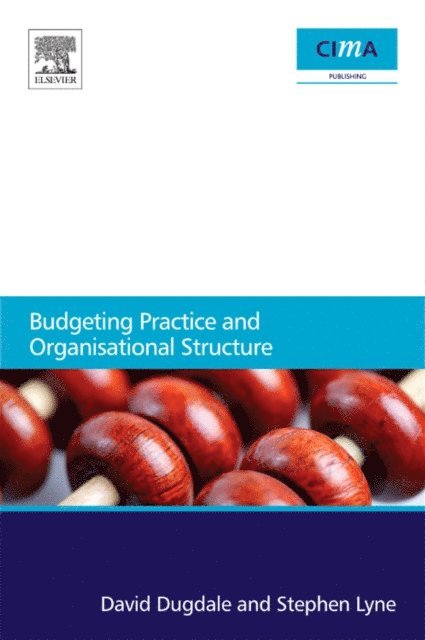 Stephen Lyne, David Dugdale - Budgeting Practice and Organisational Structure, E-bok