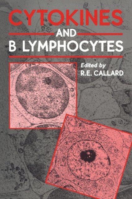 Robin E. Callard - Cytokines and B Lymphocytes, E-bok