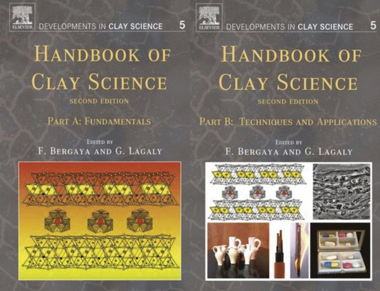 Handbook of Clay Science, E-bok