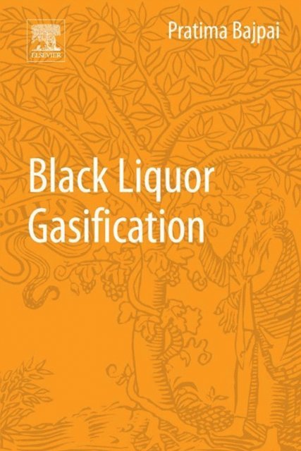 Pratima Bajpai - Black Liquor Gasification, E-bok