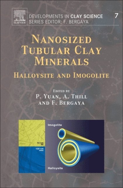 Nanosized Tubular Clay Minerals, E-bok