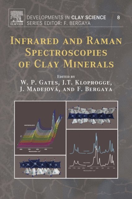 Infrared and Raman Spectroscopies of Clay Minerals, E-bok