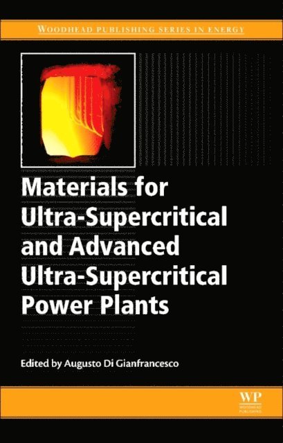 Augusto Di Gianfrancesco - Materials for Ultra-Supercritical and Advanced Ultra-Supercritical Power Plants, E-bok