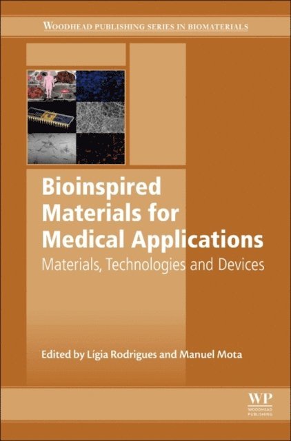 Manuel Mota, Ligia Rodrigues - Bioinspired Materials for Medical Applications, E-bok
