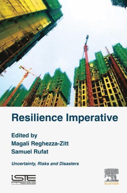 Samuel Rufat, Magali Reghezza-Zitt - Resilience Imperative, E-bok