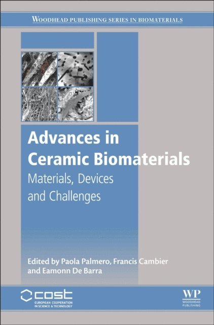 Francis Cambier, Eamonn De Barra, Paola Palmero - Advances in Ceramic Biomaterials, E-bok. Tillgänglighet: Lägg i varukorg