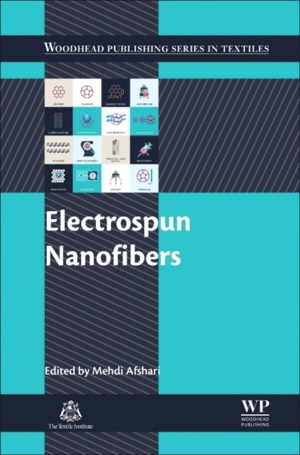 Mehdi Afshari - Electrospun Nanofibers, E-bok