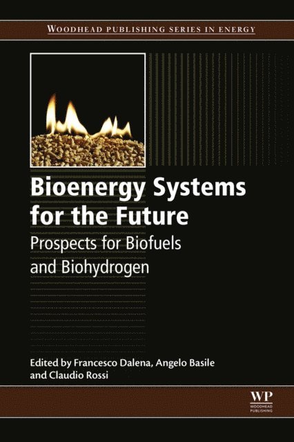 Claudio Rossi, Angelo Basile, Francesco Dalena - Bioenergy Systems for the Future, E-bok