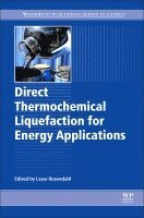 Lasse Rosendahl - Direct Thermochemical Liquefaction for Energy Applications, Inbunden