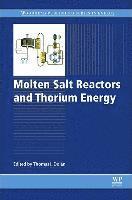 Molten Salt Reactors and Thorium Energy av Thomas James Dolan