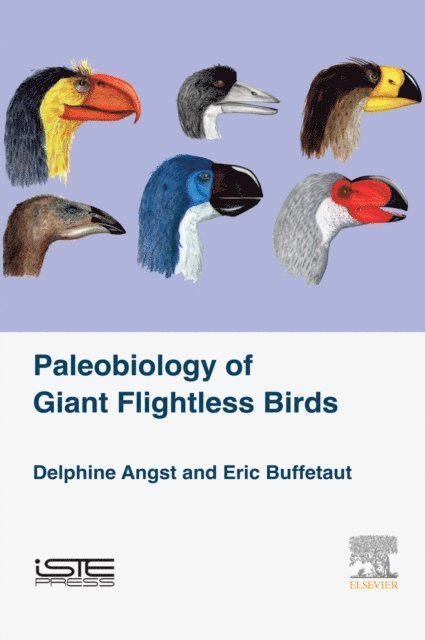 Eric Buffetaut, Delphine Angst - Palaeobiology of Giant Flightless Birds, E-bok